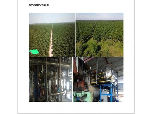 전원/농가 / Puerto Gaitán, Departamento del Meta