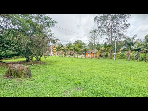 Αγροτεμάχιο σε Carmen de Viboral, El Carmen de Viboral