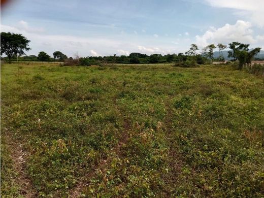 토지 / El Copey, Departamento del Cesar