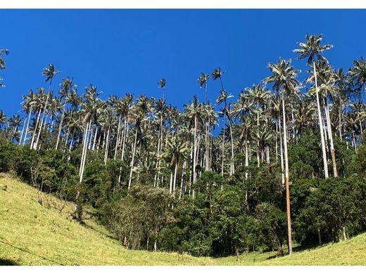 전원/농가 / Salento, Quindío Department