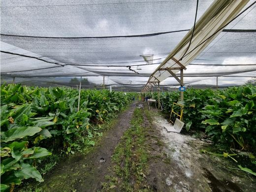 Farmhouse in Facatativá, Cundinamarca