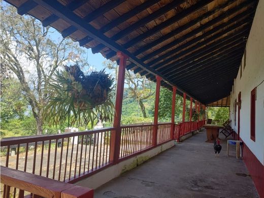 Ferme à Fredonia, Departamento de Antioquia