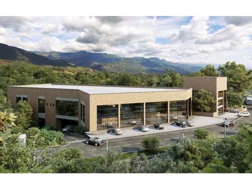 토지 / Caldas, Departamento de Antioquia