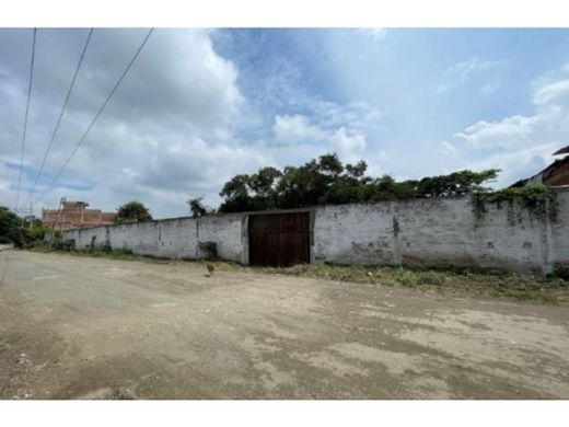 Arsa Tuluá, Departamento del Valle del Cauca