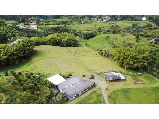 Farmhouse in Filandia, Quindío Department
