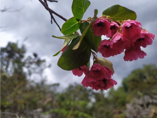 Сельский Дом, Sotaquirá, Departamento de Boyacá