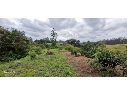 أرض ﻓﻲ Rionegro, Departamento de Antioquia