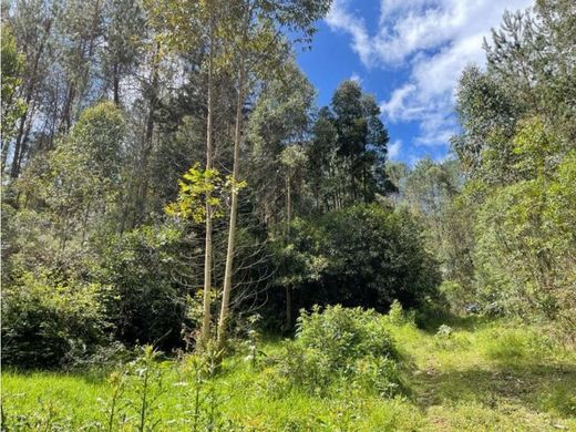 Terreno a Retiro, Departamento de Antioquia