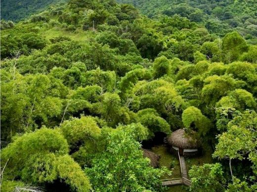 호텔 / Santa Marta, Departamento del Magdalena