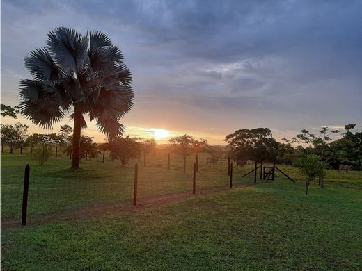 Ferme à Puerto López, Departamento del Meta