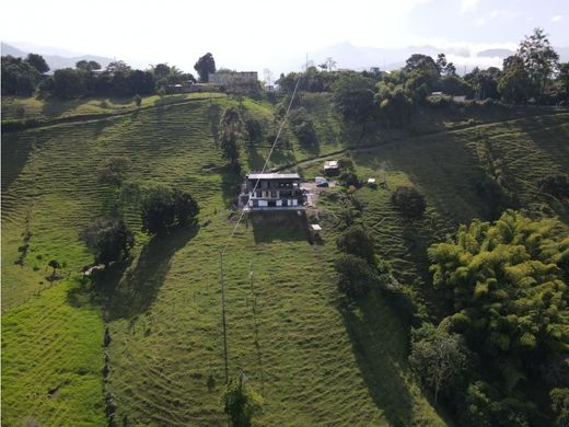 Landsitz in Calarcá, Calarca