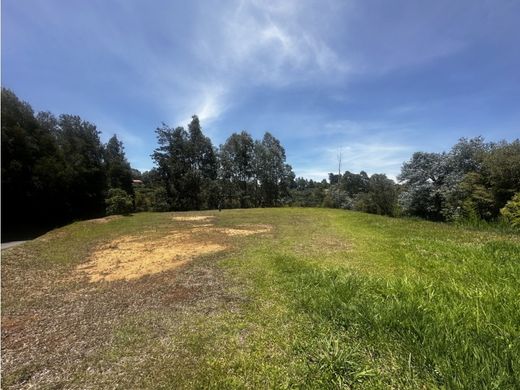 Land in Rionegro, Departamento de Antioquia