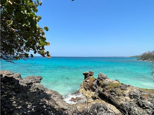 地皮  卡塔赫纳, Cartagena de Indias