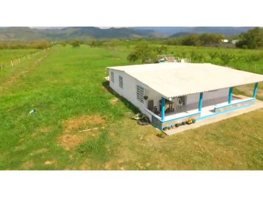 Rustik ya da çiftlik Tuluá, Departamento del Valle del Cauca