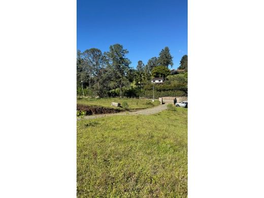 ‏קרקע ב  Rionegro, Departamento de Antioquia