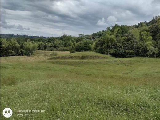 Ρουστίκ ή αγροικία σε Montenegro, Quindío Department