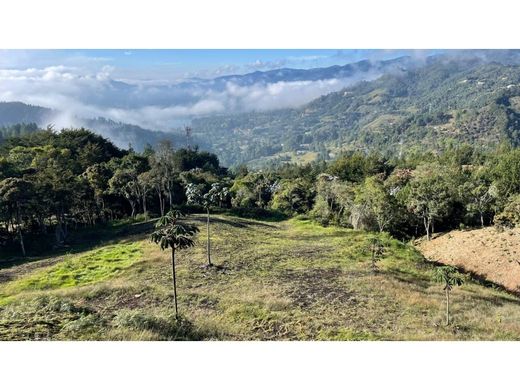 Αγροτεμάχιο σε Retiro, Departamento de Antioquia