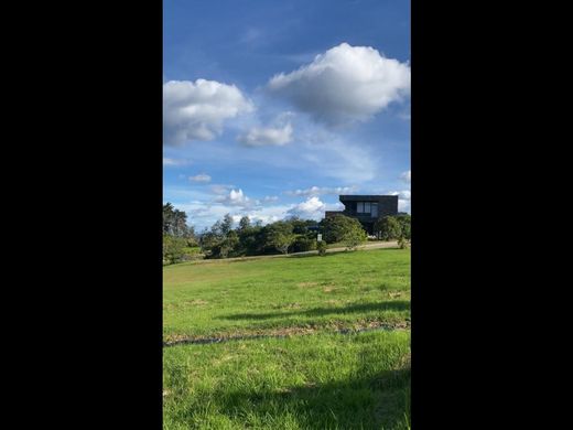 Arsa Envigado, Departamento de Antioquia