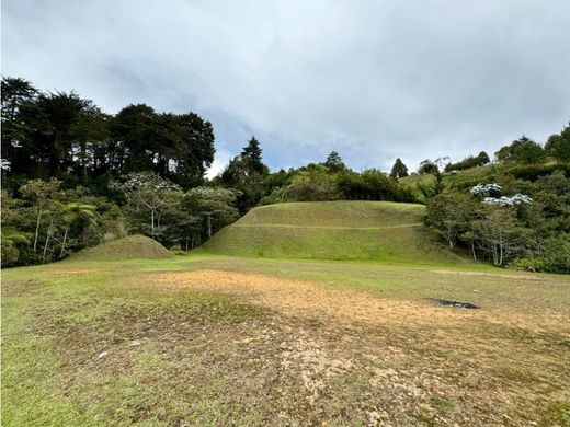 Terrain à Rionegro, Departamento de Antioquia