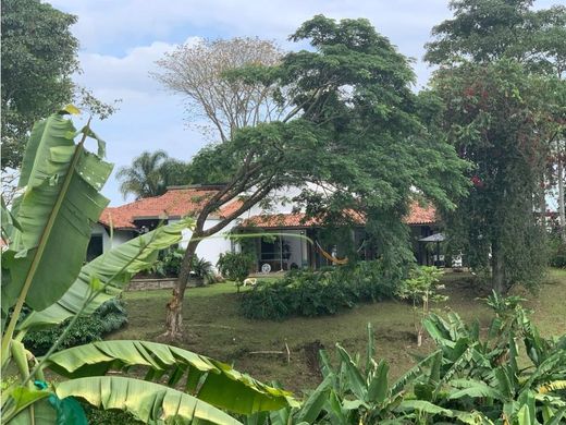 Propriété de campagne à Armenia, Quindío Department