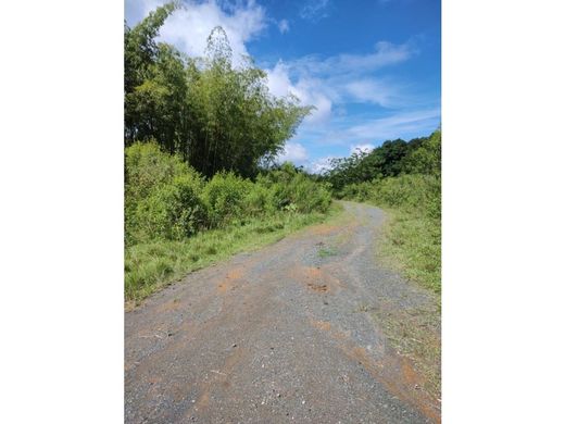 Land in Pereira, Departamento de Risaralda