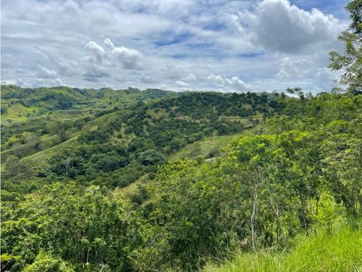 村舍/农舍  Cartago, Departamento del Valle del Cauca