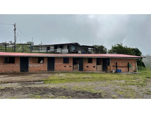 Ρουστίκ ή αγροικία σε Fresno, Departamento de Tolima