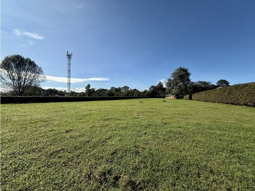 Terrain à Rionegro, Departamento de Antioquia