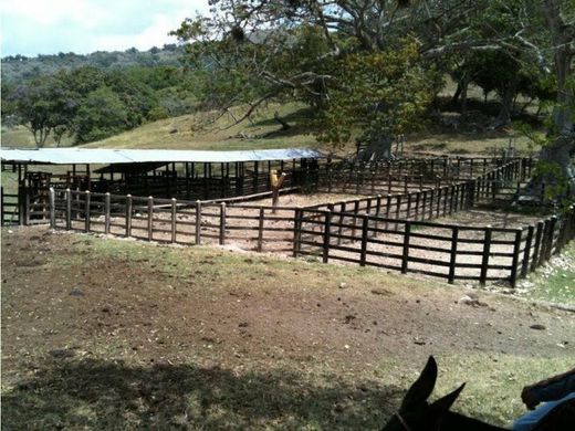 Farmhouse in Ibagué, Departamento de Tolima