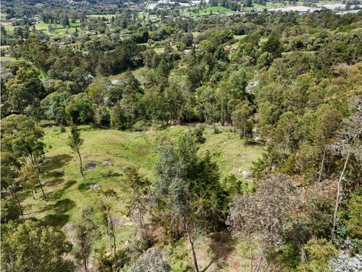 Terreno a La Ceja, Departamento de Antioquia