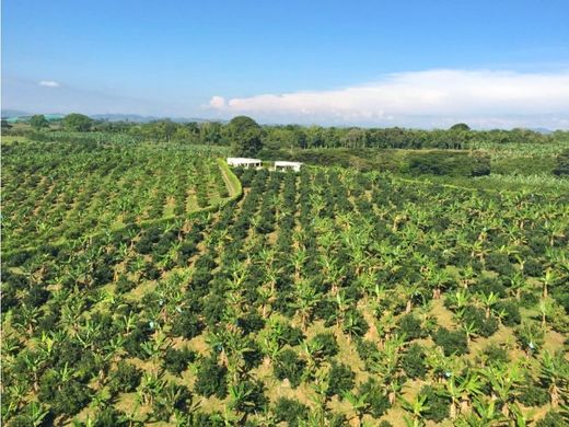 村舍/农舍  Montenegro, Quindío Department