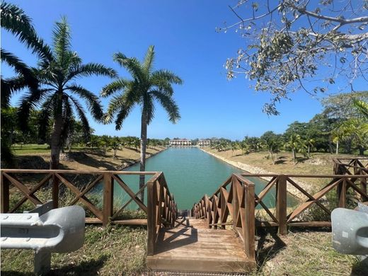 Cartagena, Cartagena de Indiasの土地