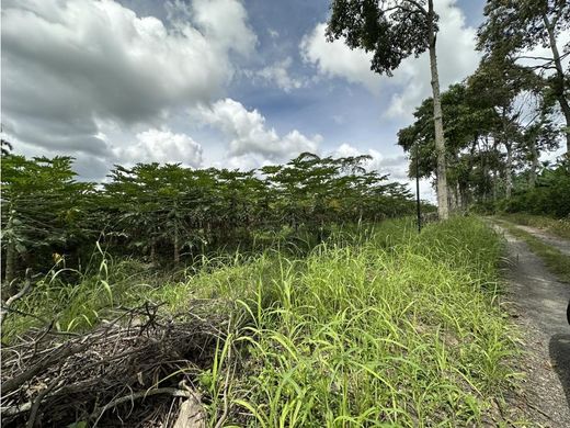 Grond in Montenegro, Quindío Department