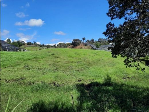 토지 / La Ceja, Departamento de Antioquia