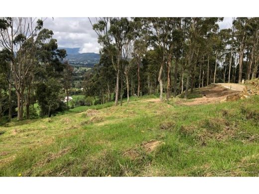 Teren w Envigado, Departamento de Antioquia