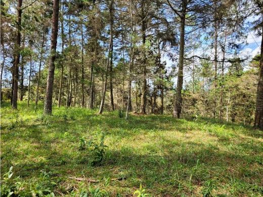 Land in Retiro, Departamento de Antioquia