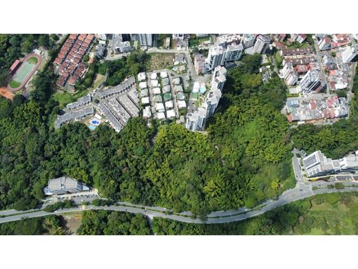 Arsa Armenia, Quindío Department