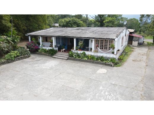 ﻣﻨﺰﻝ ﺭﻳﻔﻲ/ ﺑﻴﺖ ﻤﺰﺭﻋﺔ ﻓﻲ Calarcá, Calarca