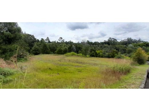 ‏קרקע ב  Rionegro, Departamento de Antioquia