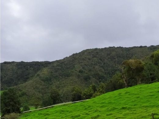 Ferme à San Pedro, San Pedro de los Milagros