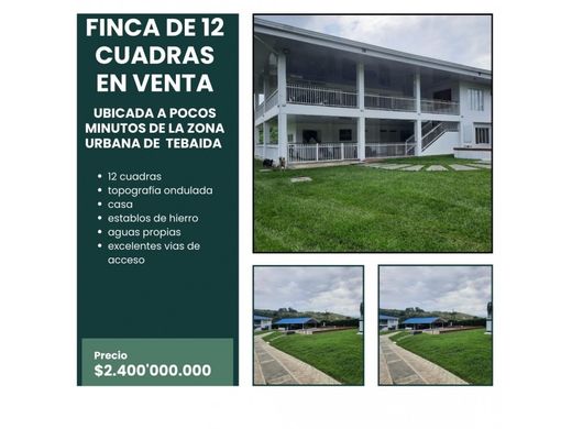 전원/농가 / La Tebaida, Quindío Department