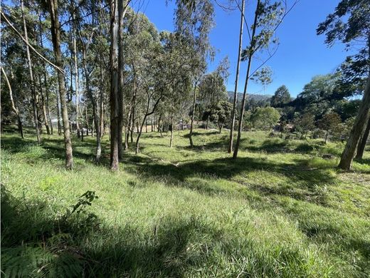 토지 / Guarne, Departamento de Antioquia