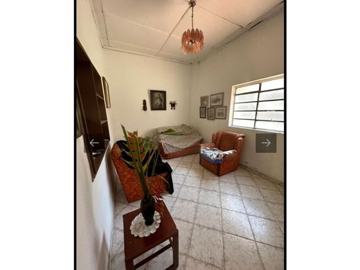 호화 저택 / 메데인, Medellín