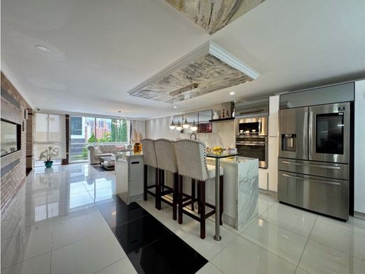 호화 저택 / Sabaneta, La Estrella