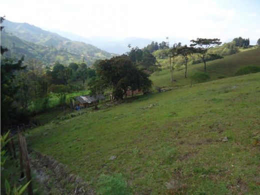 Участок, Envigado, Departamento de Antioquia