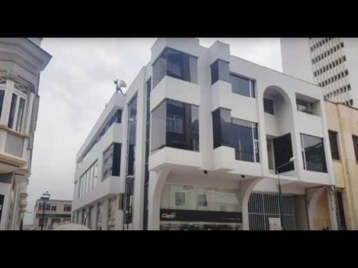 Office in Manizales, Departamento de Caldas