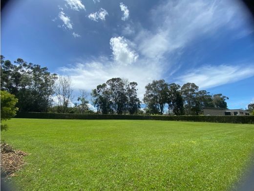 Rionegro, Departamento de Antioquiaの土地