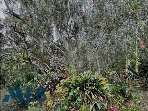 Grundstück in Rionegro, Departamento de Antioquia