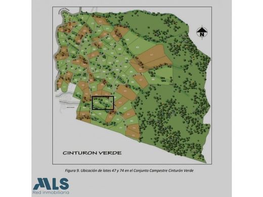 メデリン, Medellínの土地