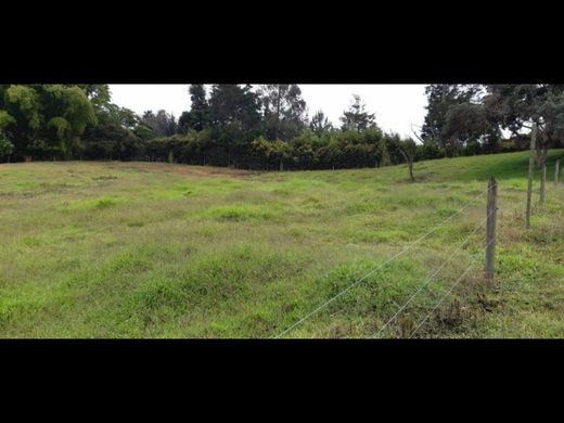 Участок, Rionegro, Departamento de Antioquia